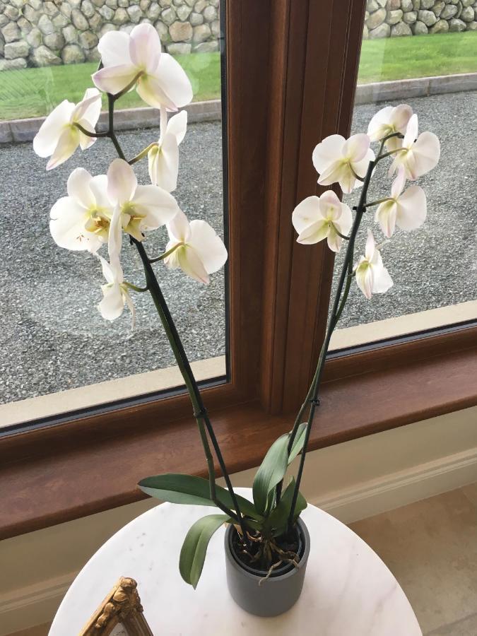 Mourne Country House Bed And Breakfast Kilkeel Bagian luar foto